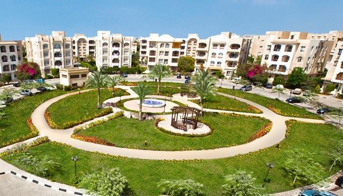 زايد الجديدة