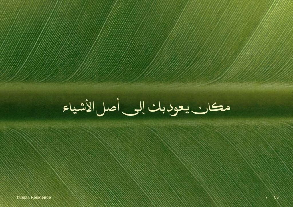 طبيعة 6 أكتوبر Tabeaa October