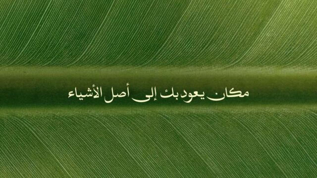 طبيعة 6 أكتوبر Tabeaa October