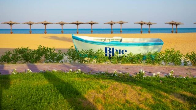 Blue Blue Sokhna