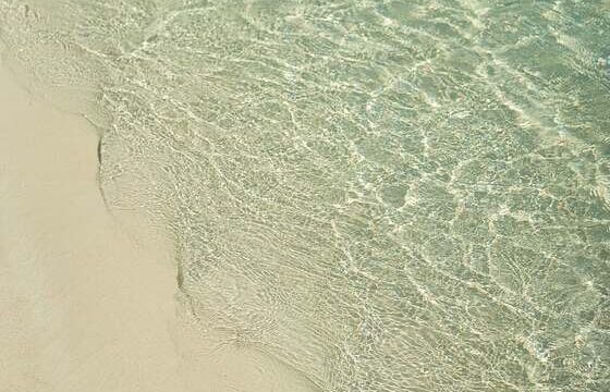  شركة بيبول أند بليسيز للتطوير العقاري People and Places راس الحكمة